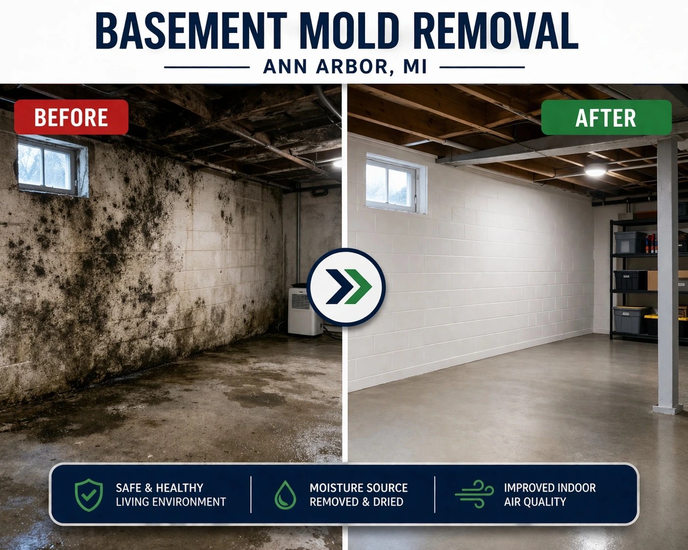 Before and after basement mold removal in Ann Arbor showing heavy mold contamination cleaned into a dry, restored basement with improved air quality