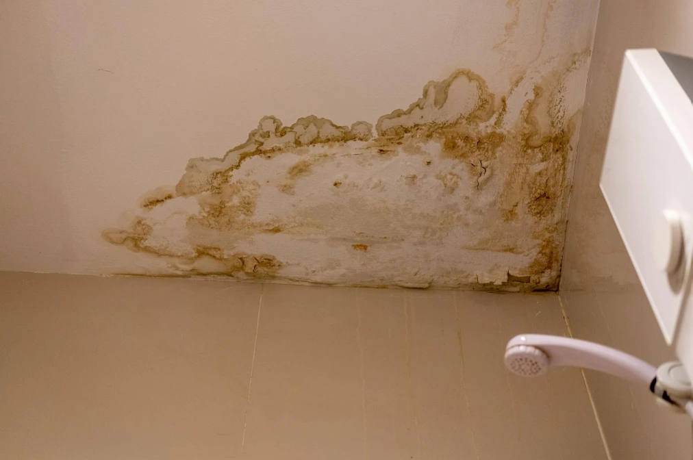 Humid residential bathroom with visible black mold around ceiling corners, grout lines, and peeling paint caused by excess moisture