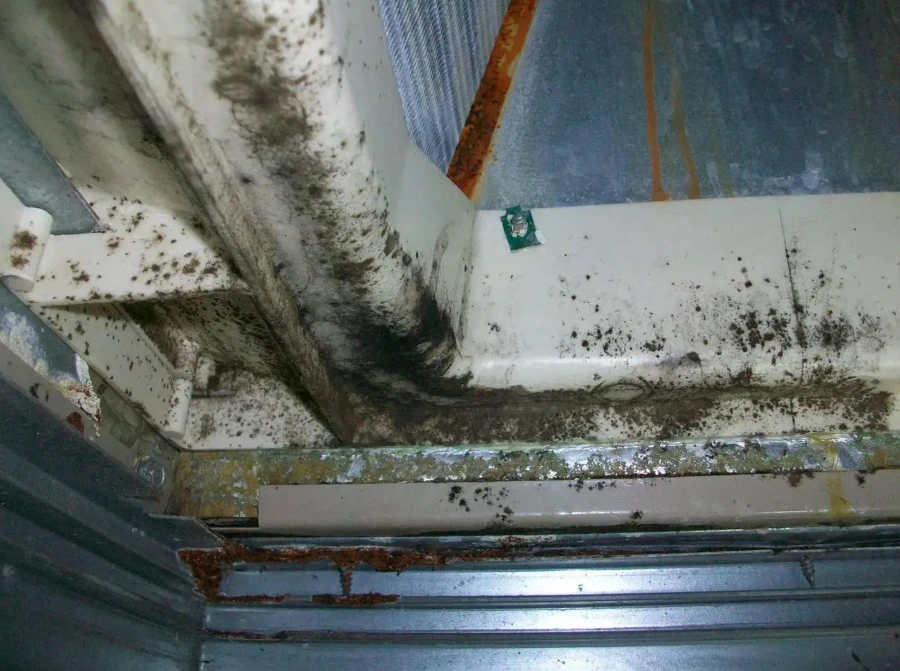 Residential HVAC system with visible mold contamination inside air ducts and ventilation components caused by moisture buildup